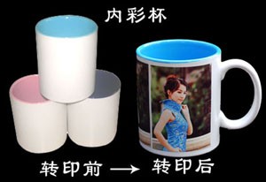 供应内彩杯